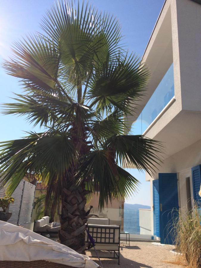 Seaside Villa With Private Pool Home By The Sea - Villa Trogir Exterior foto